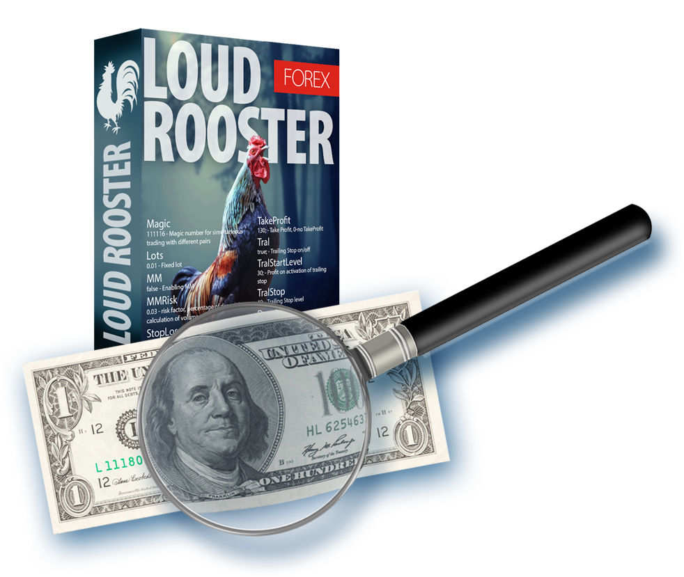 Loud Rooster