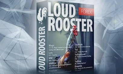 Loud Rooster EA như một món quà