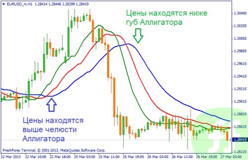 Рисунок 3. Индикатор Аллигатор во время тренда